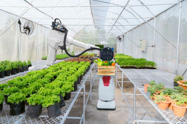 Agricultural ai robotics industry gardening planting vegetables